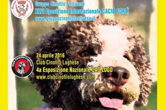 Romagna Dog Show