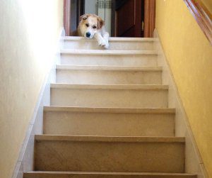 Salire e scendere le scale