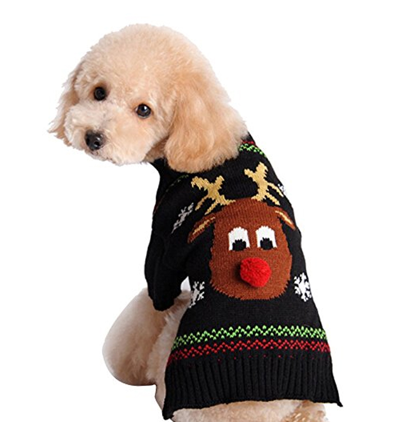 Vestiti Di Natale Per Cani.Cinque Accessori Natalizi Per Il Tuo Cane Amici Di Casa