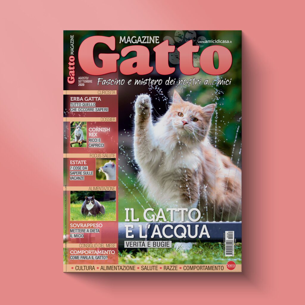 gattomagazine