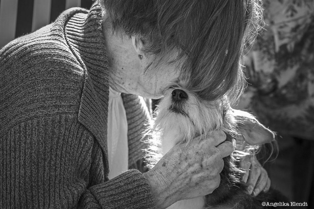 1st-Assistance-Dogs-Angelika-Elendt-© (1)
