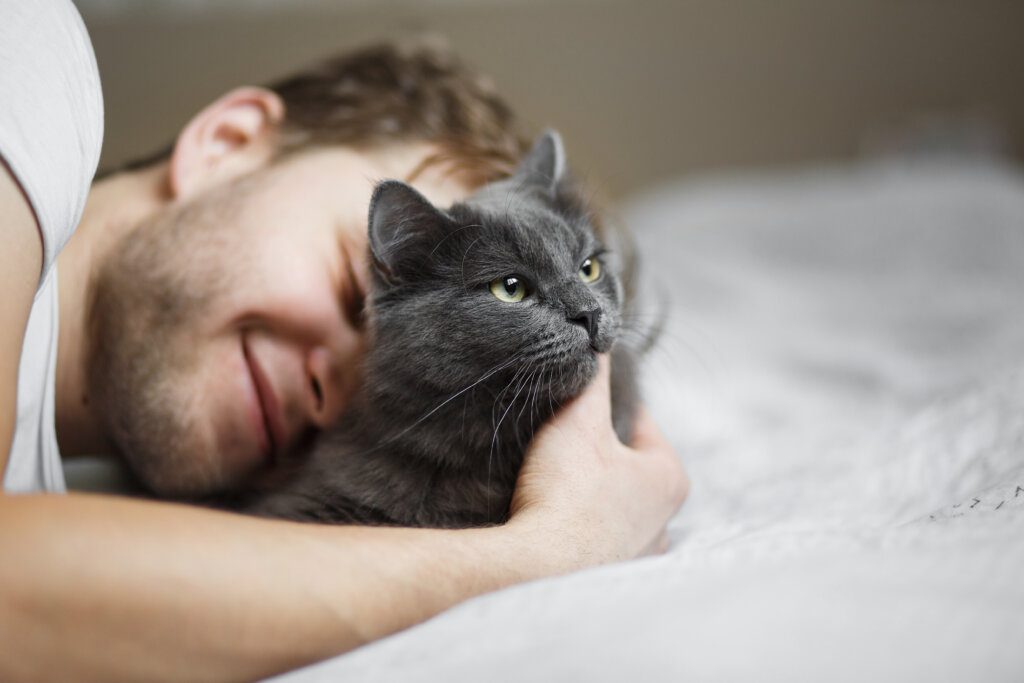 gattoterapia benefici