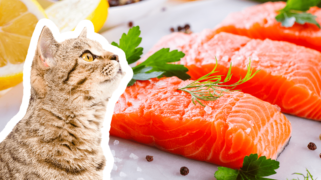 Perché ai gatti piace il pesce?