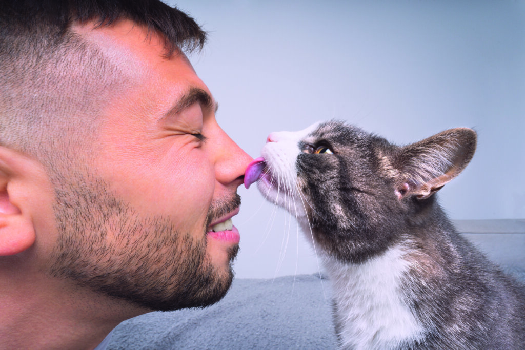 gatto lecca il naso di un uomo