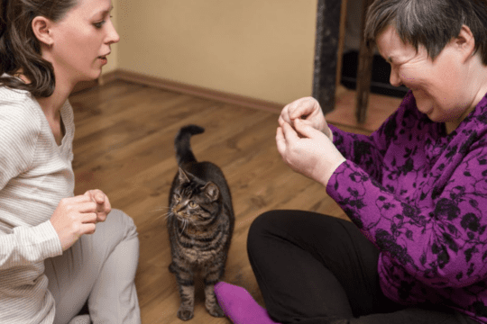 operatore pet therapy