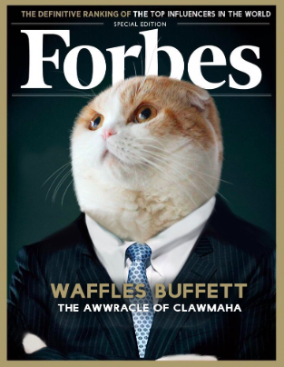 waffles cat forbes