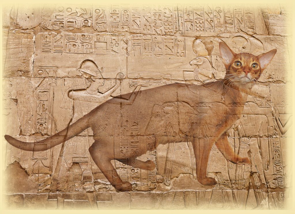 gatti egiziani