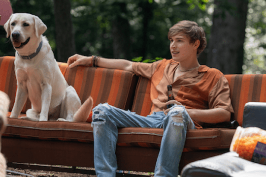 5 film on demand da vedere se ami i cani
