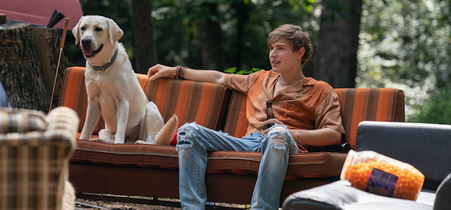 5 film on demand da vedere se ami i cani