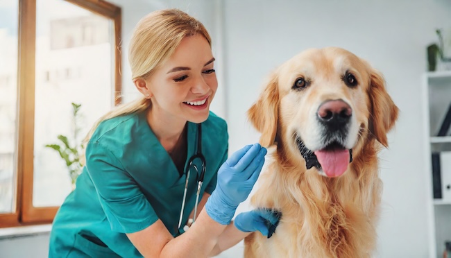 Riforma farmaco veterinario